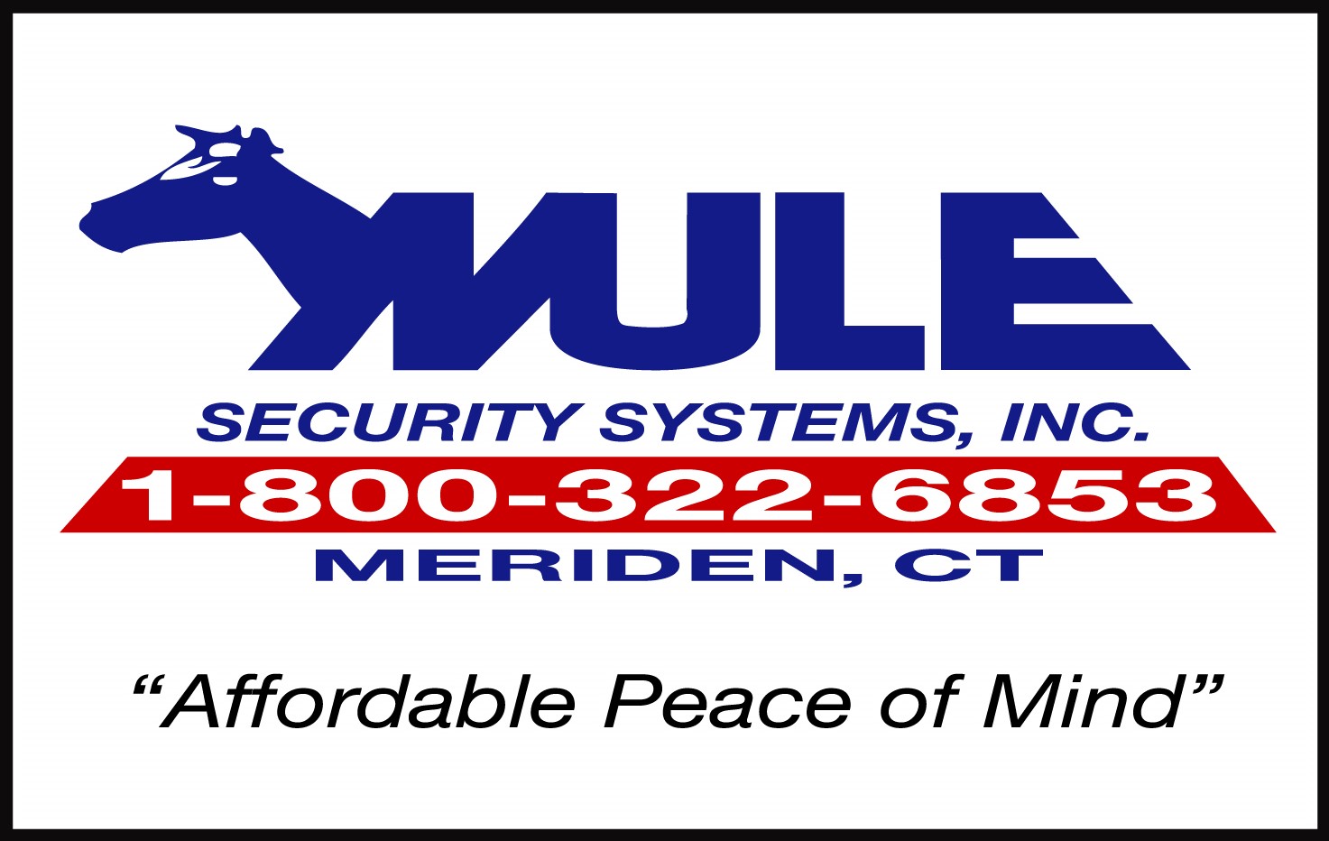 Logo for: Mule Security